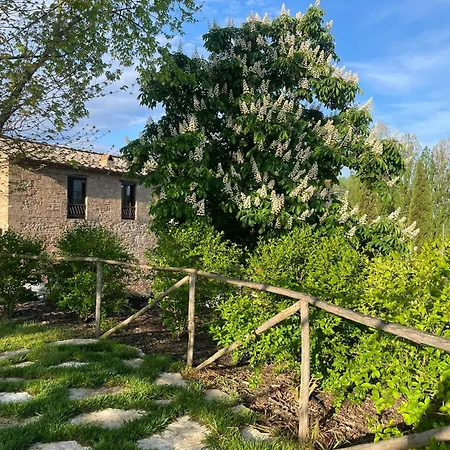 La Frattina Buonconvento